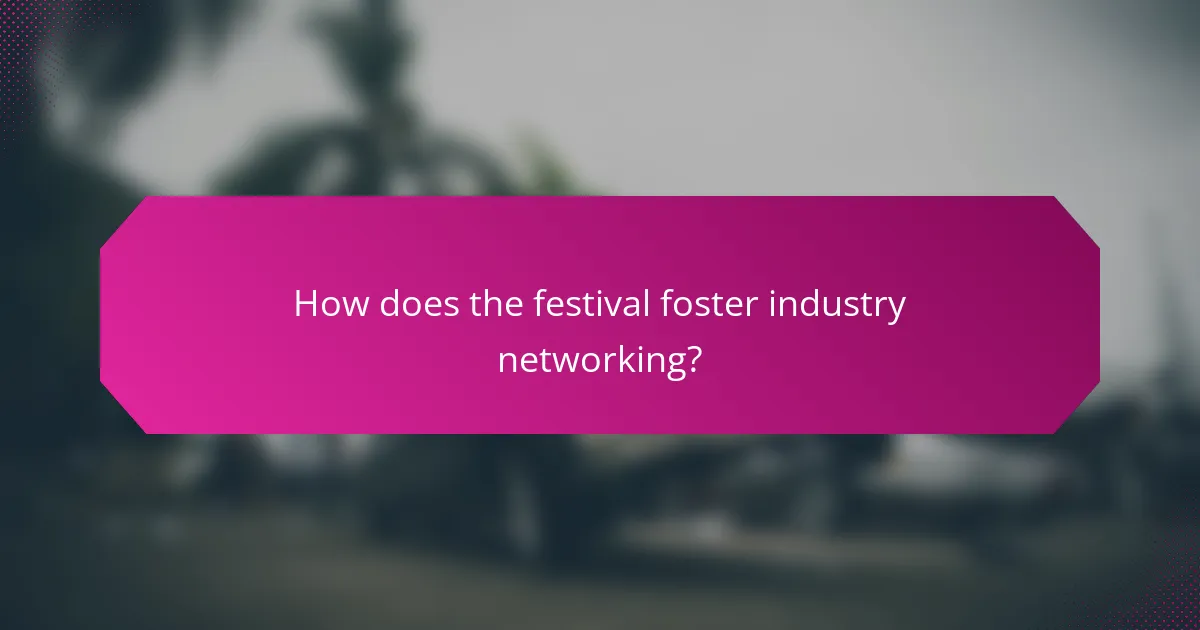 How does the festival foster industry networking?