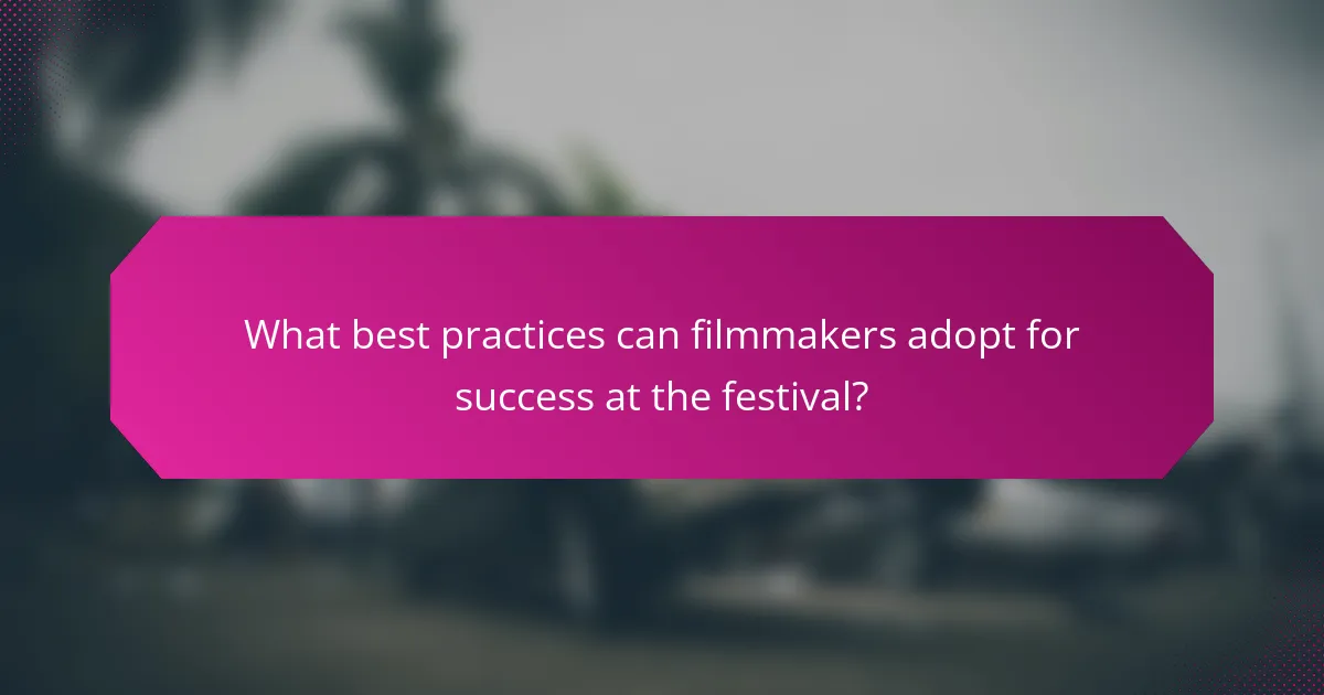 What best practices can filmmakers adopt for success at the festival?