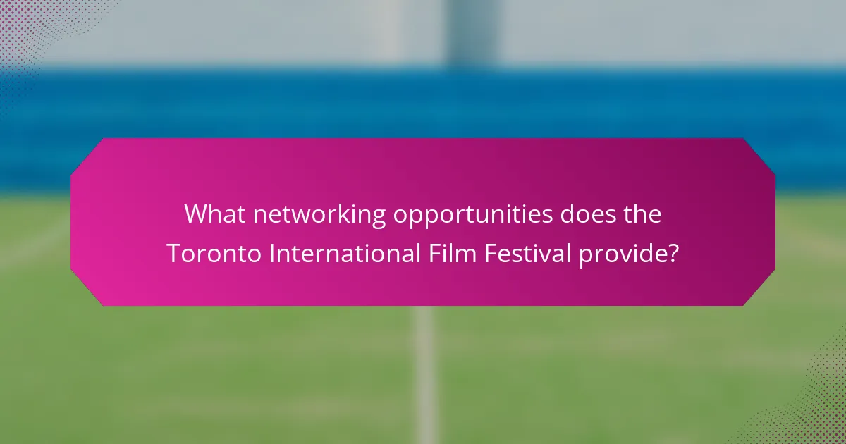 What networking opportunities does the Toronto International Film Festival provide?